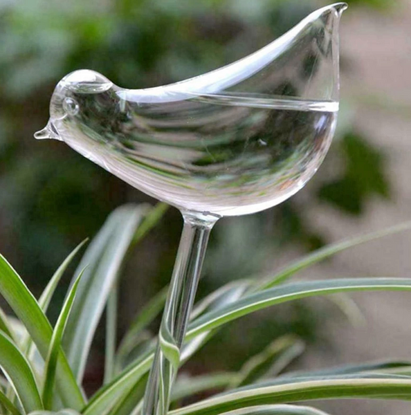 Bird Plant Self-Watering