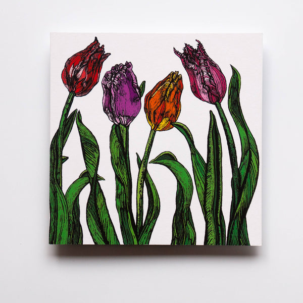 Rachel Meehan, pictures and words... - Blank Floral Greeting  Card -   Spring Tulips on White