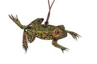 Clare O’Neill Artworks - FSC approved birch plywood Frog decoration