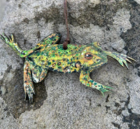 Clare O’Neill Artworks - FSC approved birch plywood Frog decoration