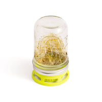 Fox Run Brands - Jarware Seed Sprouter Lid for Wide Mouth Mason Jar