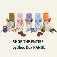 ToyChoc Box® (x18) DiNOSAURS