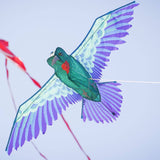 In the Breeze, LLC. - 3D Hummingbird Kite