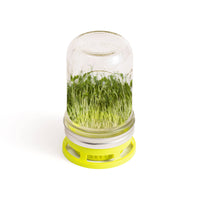 Fox Run Brands - Jarware Seed Sprouter Lid for Wide Mouth Mason Jar