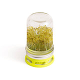 Fox Run Brands - Jarware Seed Sprouter Lid for Wide Mouth Mason Jar