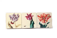 MUSEUM WEBSHOP - Coasters, Set of 6 coasters,Tulips, Ksenia