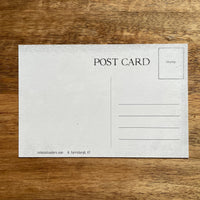 Colossal Sanders - Maple Syrup Saves Lives funny Postcard