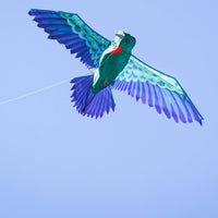 In the Breeze, LLC. - 3D Hummingbird Kite