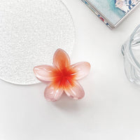 LadyJuneAccessories - Blossom Hair Clip,Ombré Beach Claw,Hair Accessories,Gifts
