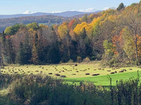 Saint Johnsbury Postcards