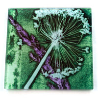 Green Allium Rush Botanic Style Glass Coaster