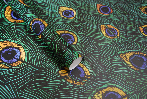 Rachel Meehan, pictures and words... - Peacock Feathers Gift Wrapping paper