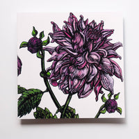 Rachel Meehan, pictures and words... - Blank Floral Greeting  Card -  Dahlia on White