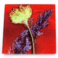 Red Layers Botanic Style Glass Coaster