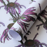 Rachel Meehan, pictures and words... - Floral Gift Flat Wrapping Paper - Echinacea (Cone Flower)