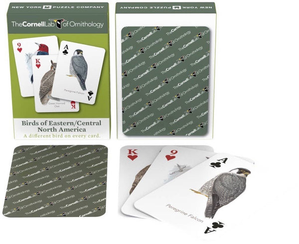 Birds of Eastern/Central North America Playing Cards