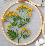 DIY Beginner Flower Embroidery Kit