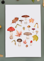 Botanical Art Prints by The Butterfly & Toadstool