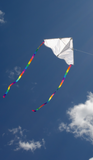 Delta Coloring Kite