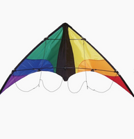 Colorwave Stunt Kite
