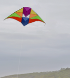 Rainbow 6' Conyne Delta Kite