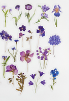 Transparent Butterfly & Purple Flower Stickers