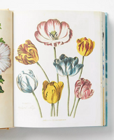 John Derian Sticker Book