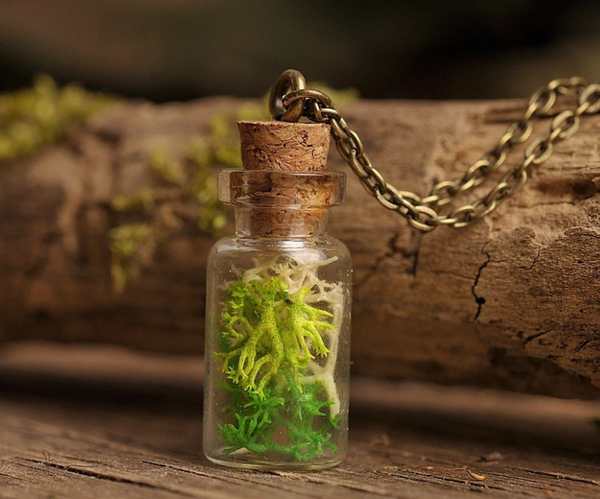 Moss Terrarium Necklace from Lithuania