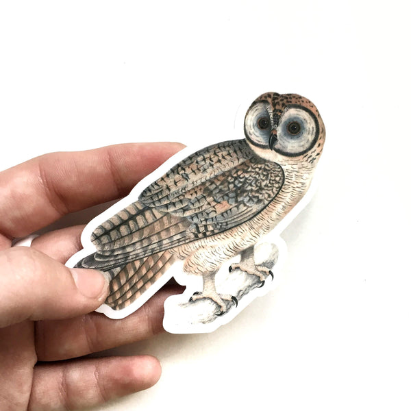 Pergamo Paper Goods - Vintage Owl Sticker