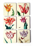 MUSEUM WEBSHOP - Coasters, Set of 6 coasters,Tulips, Ksenia