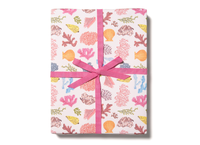 Red Cap Cards - Corals wrapping paper rolls