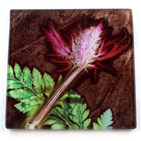 Thistle and Fern Earth Botanic Style Glass Coaster